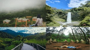 Eksplorasi Wisata Alam Indonesia: Dari Hutan Tropis hingga Savana