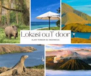 Petualangan Flora dan Fauna: 5 Lokasi Outdoor untuk Menyaksikan Kehidupan Liar di Alam