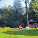 Camping di Tengah Hutan Tropis: 7 Tips Aman & Seru 2025
