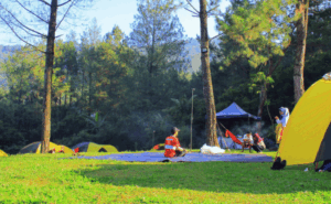 Camping di Tengah Hutan Tropis: 7 Tips Aman & Seru 2025