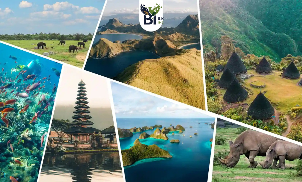 Ekowisata Indonesia 2025: Destinasi yang Dukung Pelestarian Biodiversitas