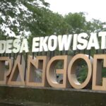 10 Destinasi Ekowisata di Indonesia yang Mendukung Pelestarian Biodiversitas