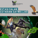 Green Finance di Indonesia: Investasi yang Mendukung Konservasi Hutan dan Satwa