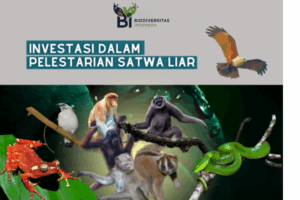 Green Finance di Indonesia: Investasi yang Mendukung Konservasi Hutan dan Satwa