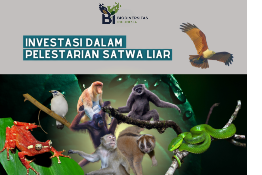 Green Finance di Indonesia: Investasi yang Mendukung Konservasi Hutan dan Satwa