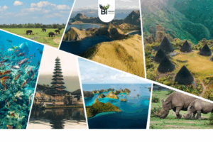 Ekowisata Indonesia 2025: Destinasi yang Dukung Pelestarian Biodiversitas