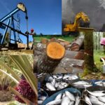 Pemanfaatan Sumber Daya Alam Indonesia untuk Pembangunan Properti Berkelanjutan