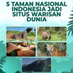 5 Taman Nasional di Indonesia yang Menawarkan Pengalaman Melihat Satwa Liar Langka