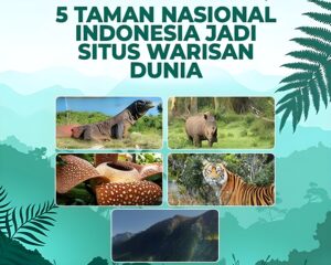 5 Taman Nasional di Indonesia yang Menawarkan Pengalaman Melihat Satwa Liar Langka