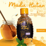 Madu Hutan Asli Sumatera: Khasiat, Perbedaan dengan Madu Ternak, dan Cara Memilihnya