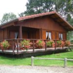 Rumah Berbahan Kayu Ulin dan Bambu: Desain Hunian yang Selaras dengan Alam