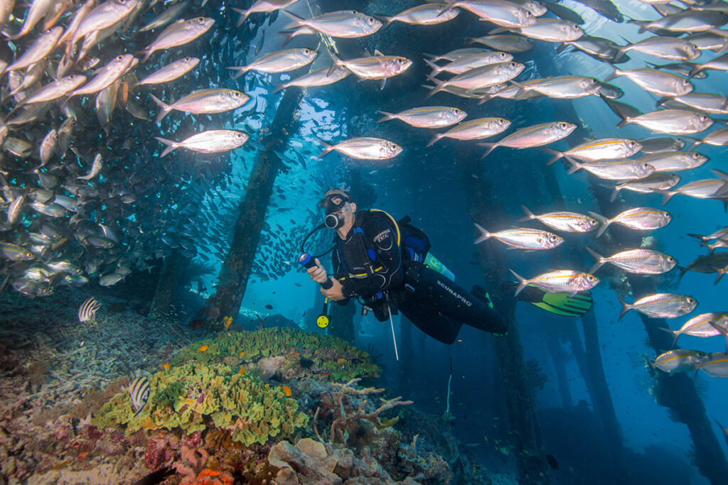 Snorkeling di Raja Ampat: Menjaga Keindahan Bawah Laut dari Dampak Wisata Massal