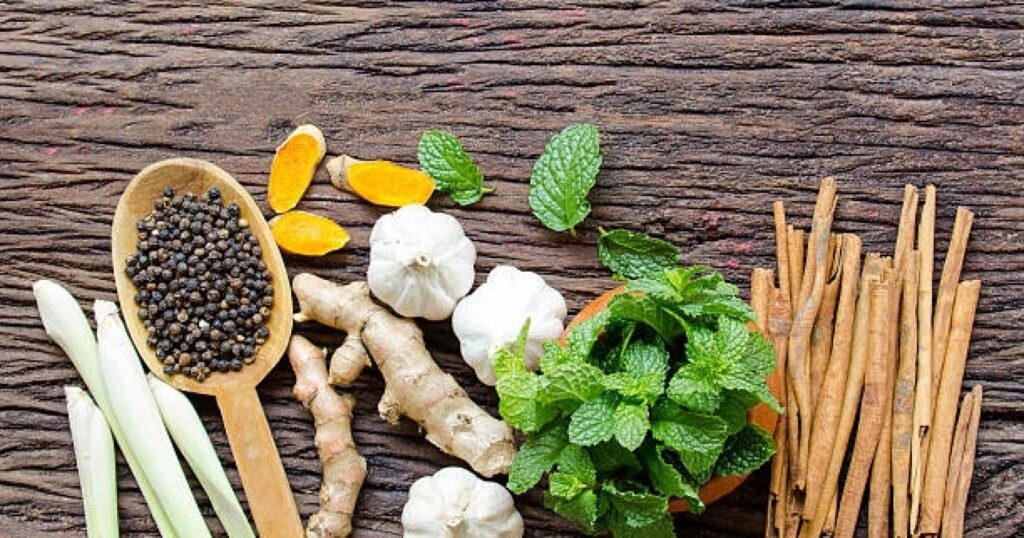 Potensi Obat-Obatan Modern dari Tumbuhan Obat Tradisional Indonesia yang Belum Dieksplorasi