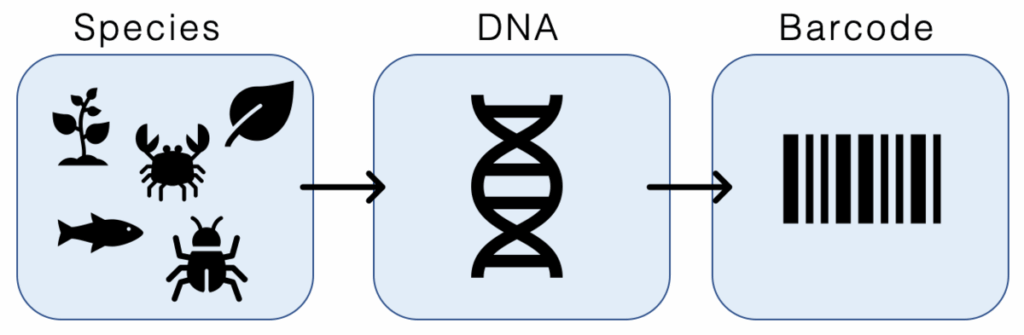 Teknologi DNA Barcoding: "KTP Digital" untuk Identifikasi Spesies Langka di Indonesia