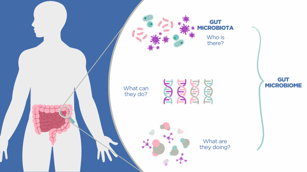 Keanekaragaman Hayati Gut Microbiome: Apa Kaitannya dengan Kesehatan Pencernaan?