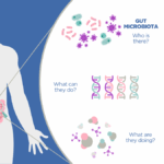 Keanekaragaman Hayati Gut Microbiome: Apa Kaitannya dengan Kesehatan Pencernaan?