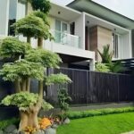 Memilih Tanaman Asli (Native) untuk Taman Rumah: Mendukung Ekosistem Lokal dan Lebih Hemat Air