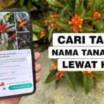 Kecerdasan Buatan (AI) dalam Identifikasi Spesies Langka dari Foto dan Rekaman Suara