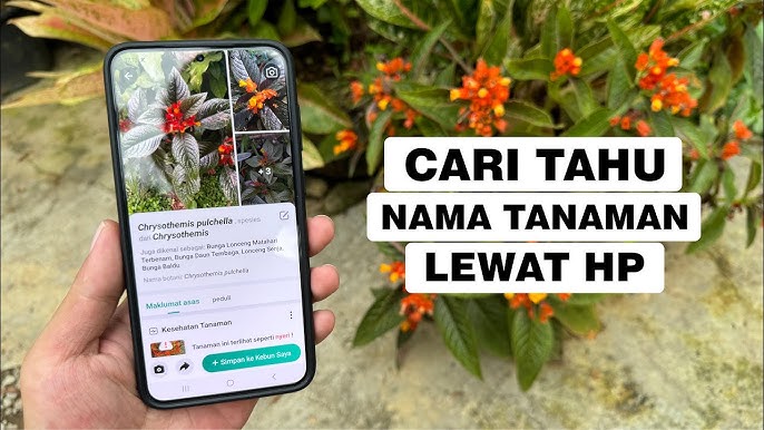 Kecerdasan Buatan (AI) dalam Identifikasi Spesies Langka dari Foto dan Rekaman Suara