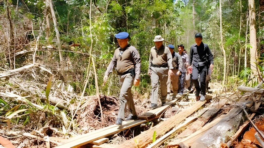 Cara Pemerintah Indonesia Mengatasi Illegal Logging yang Makin Marak