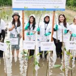41 Ribu Mangrove untuk Pariwisata Berkelanjutan, Langkah Nyata Pelestarian Pesisir