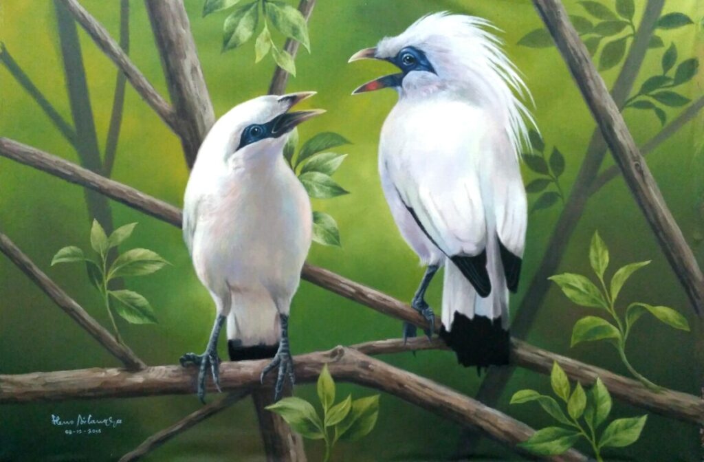 Burung Jalak Bali: Habitat, Ciri-ciri, Keunikan, Makanan, Fakta Menariknya