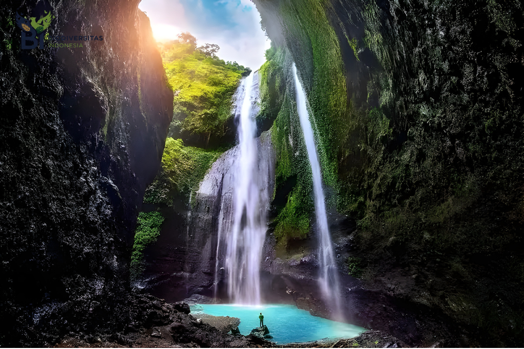 Mengapa Air Terjun Selalu Menjadi Tempat Healing Favorit?