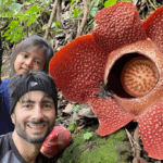 Pengertian Spesies Endemik: Keistimewaan Flora dan Fauna Khas Suatu Wilayah