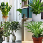 Tanaman Liar Pemurni Udara yang Bisa Ditanam di Rumah