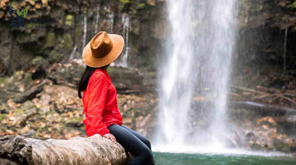 Mengapa Bunyi Air Jernih Bisa Memperbaiki Mood?